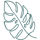 Positive mood and natural energy – ceremonial cacao health benefit